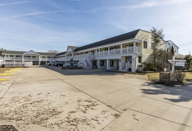 The Beach Club On Madison Avenue