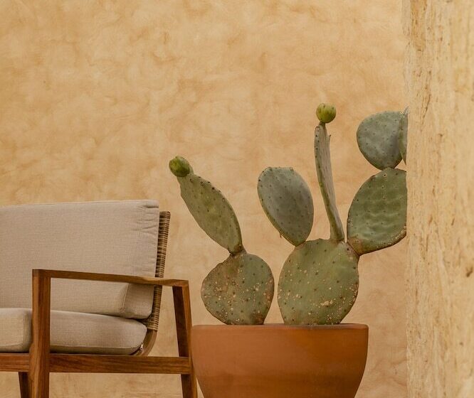 فندق Casa Santo Origen