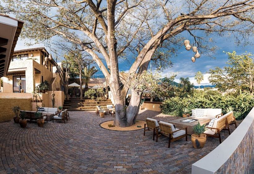 فندق Casa Santo Origen