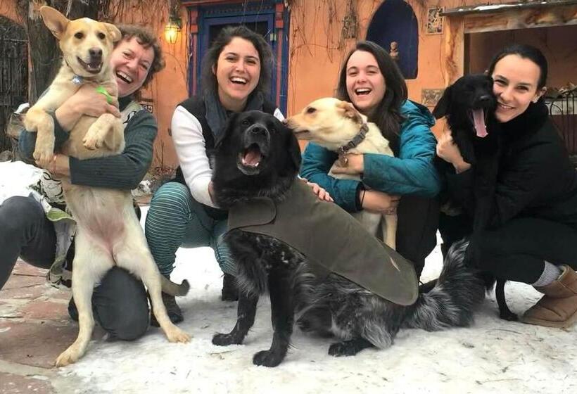 Adobe And Pines Inn Bed And Breakfast