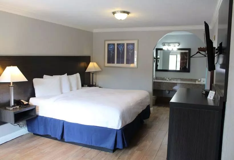 酒店 Americas Best Value Inn Medical Center Downtown