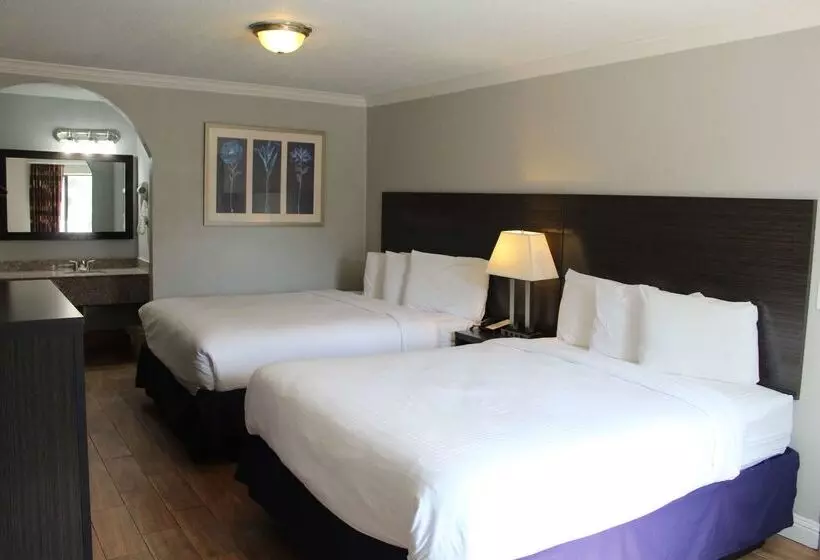 酒店 Americas Best Value Inn Medical Center Downtown