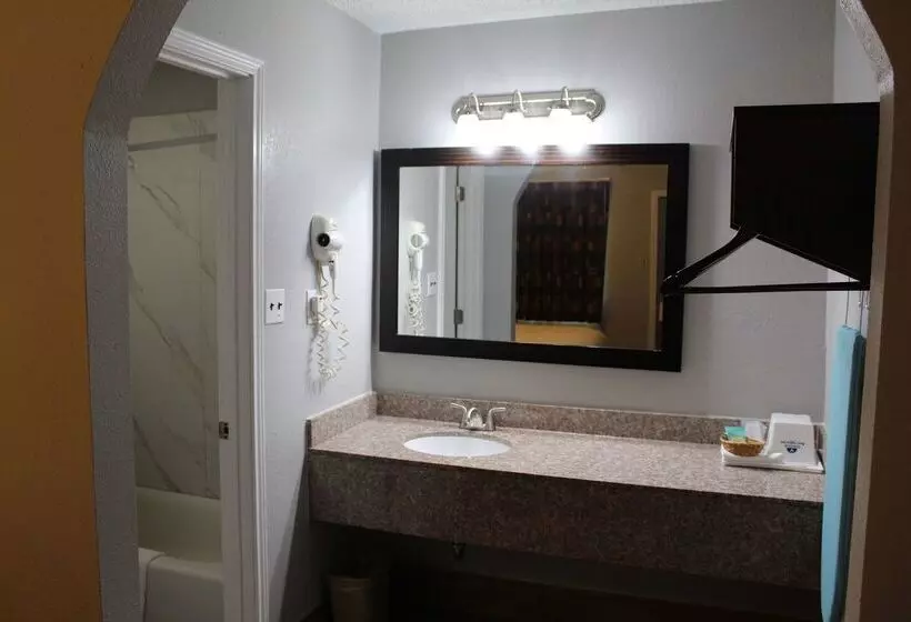 酒店 Americas Best Value Inn Medical Center Downtown