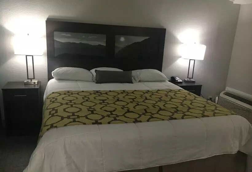 酒店 Baymont By Wyndham Cookeville