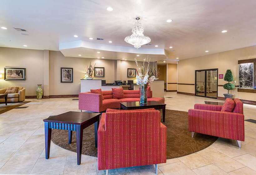 酒店 Comfort Suites