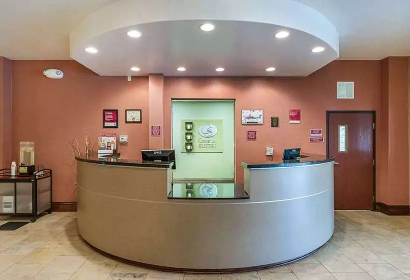 酒店 Comfort Suites