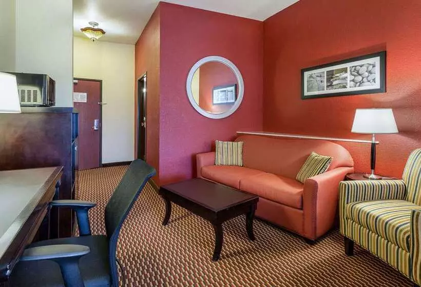 酒店 Comfort Suites