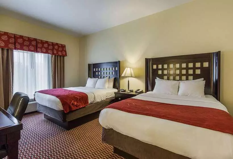 酒店 Comfort Suites