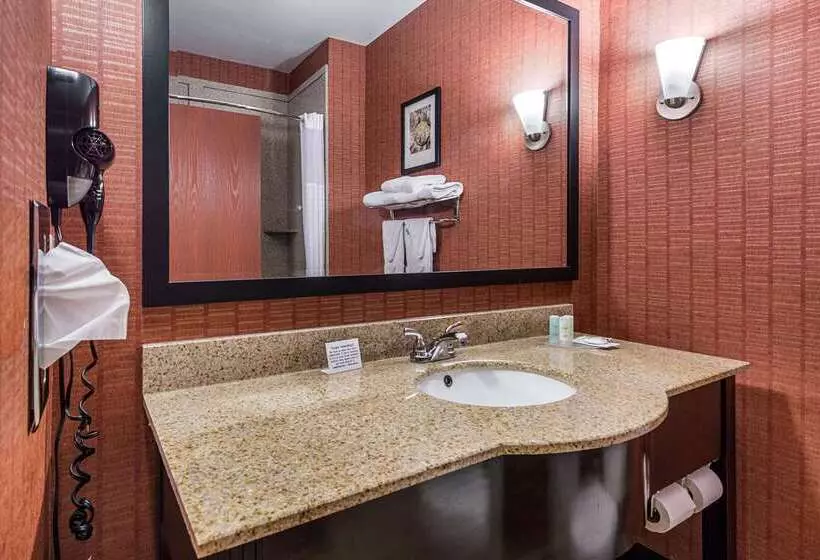 酒店 Comfort Suites