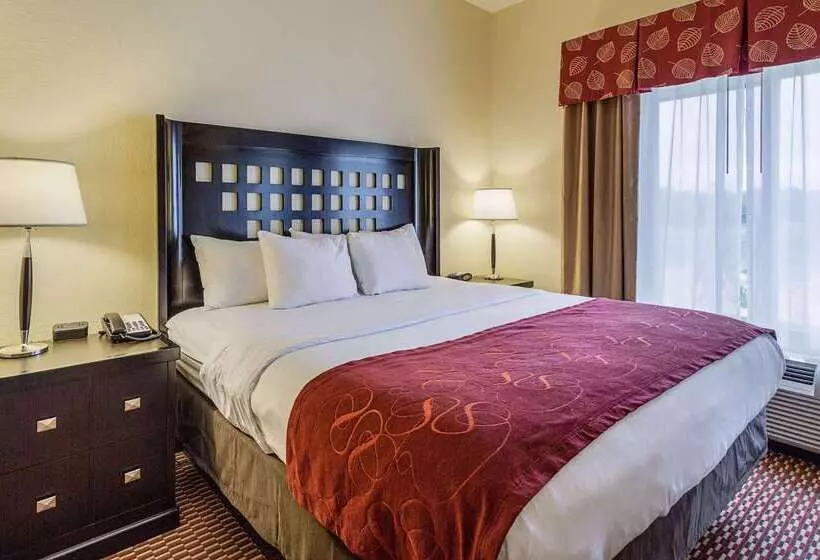 酒店 Comfort Suites