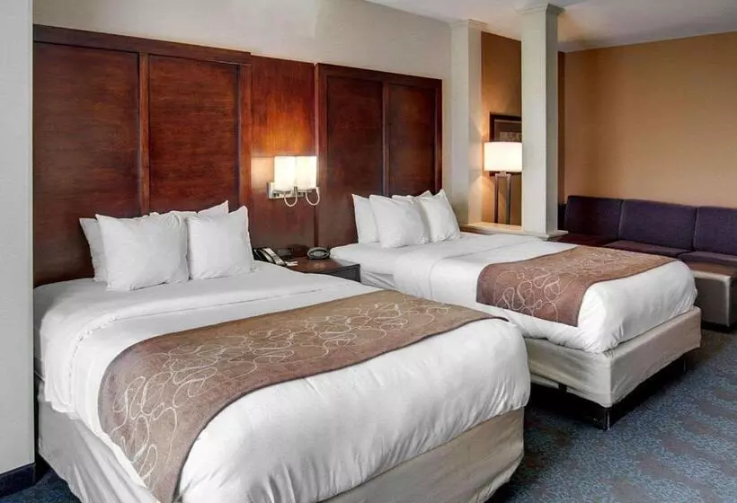 ホテル Comfort Suites Texarkana Arkansas