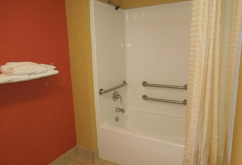 ホテル Kozy Inn Columbus