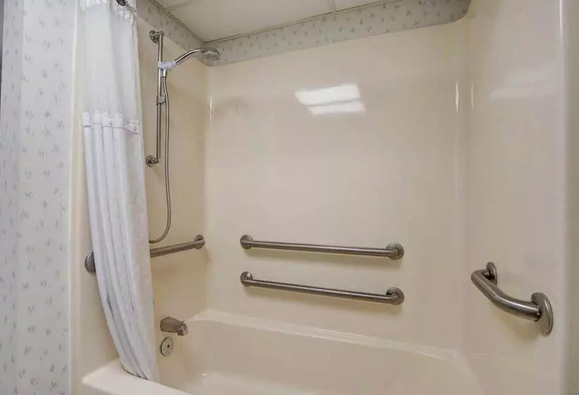 モーテル Econo Lodge Branson Theater District