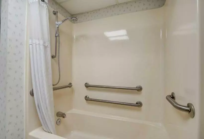 モーテル Econo Lodge Branson Theater District