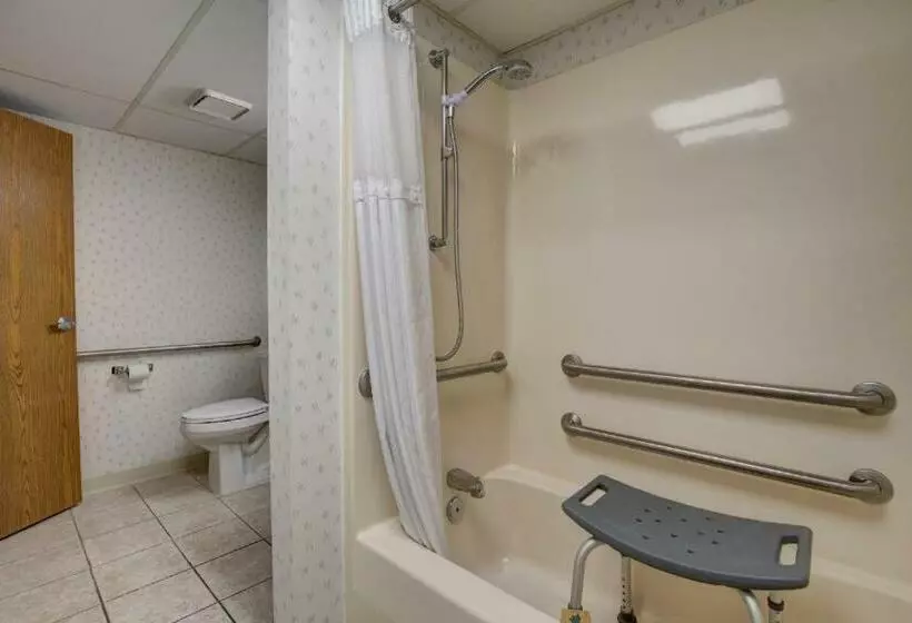モーテル Econo Lodge Branson Theater District