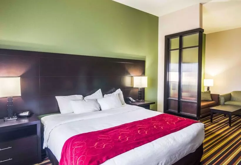 ホテル Comfort Suites Amarillo