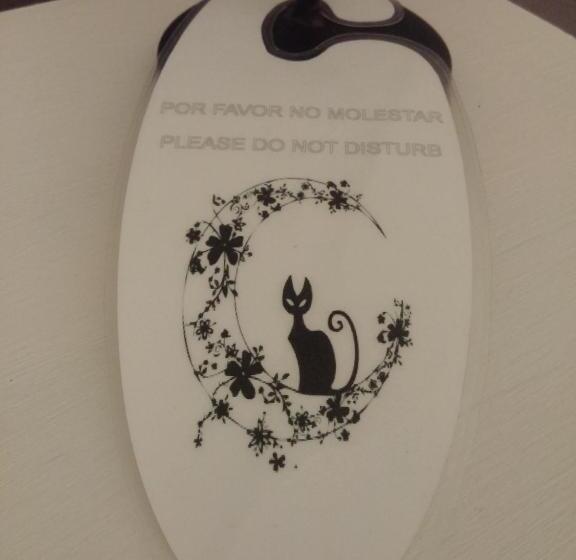 هتل Pensión Saint Mateo