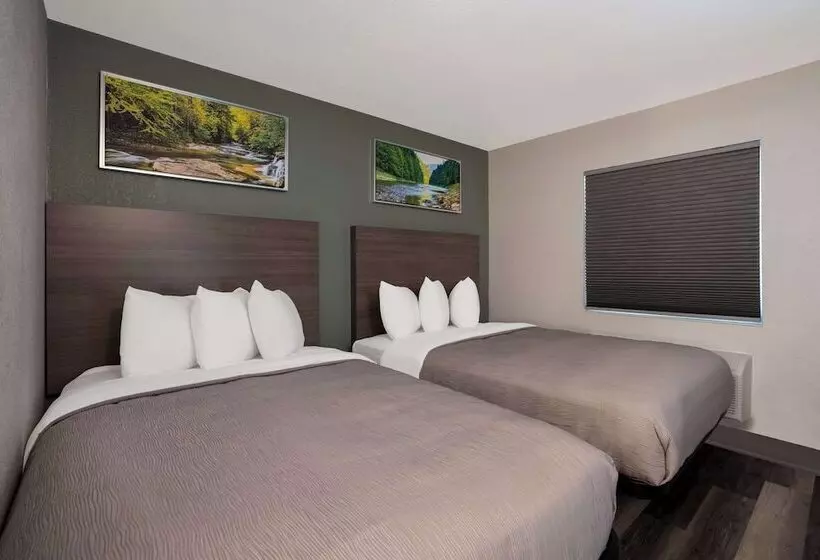 酒店 Quality Inn Elk Grove Sacramento