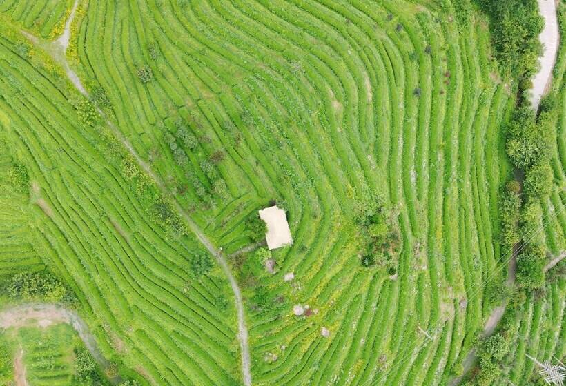 酒店 Yue Shan Shui She Taining