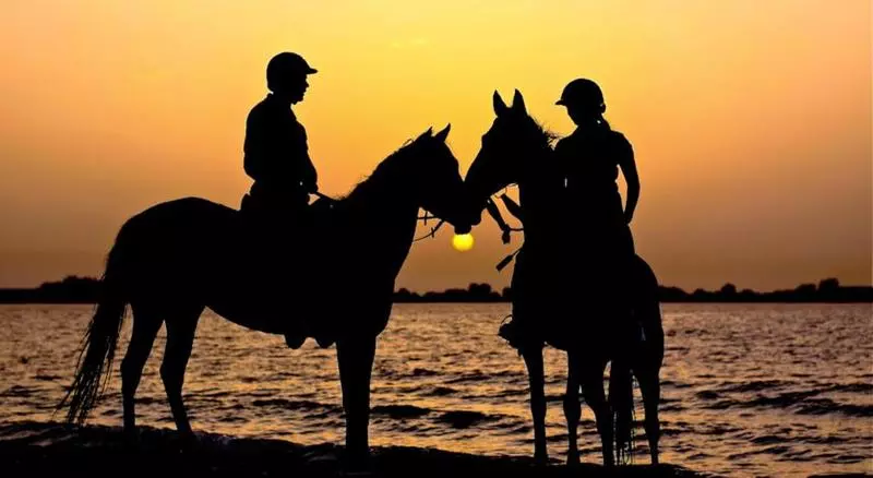 Anantara Sir Bani Yas Island Al Yamm Villa Resort