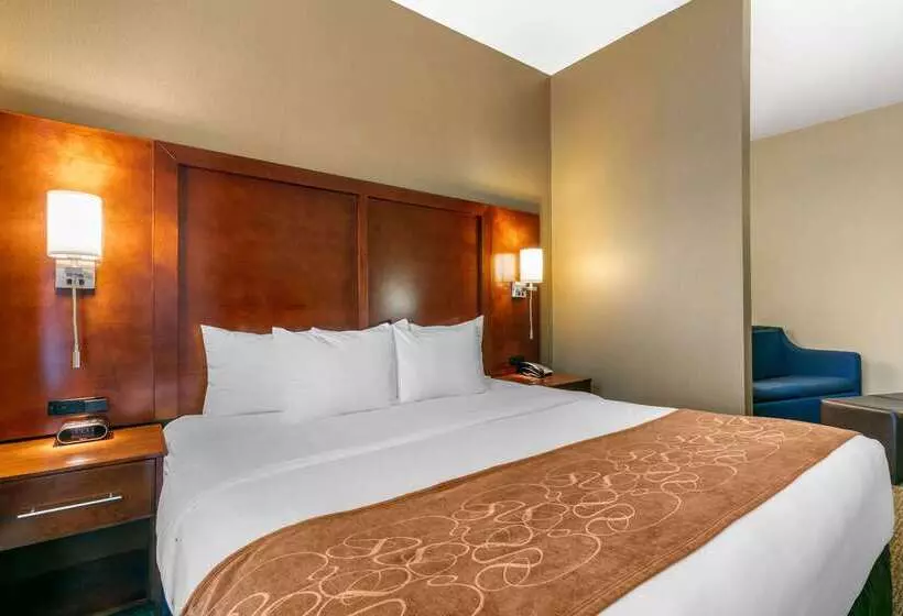 ホテル Comfort Suites