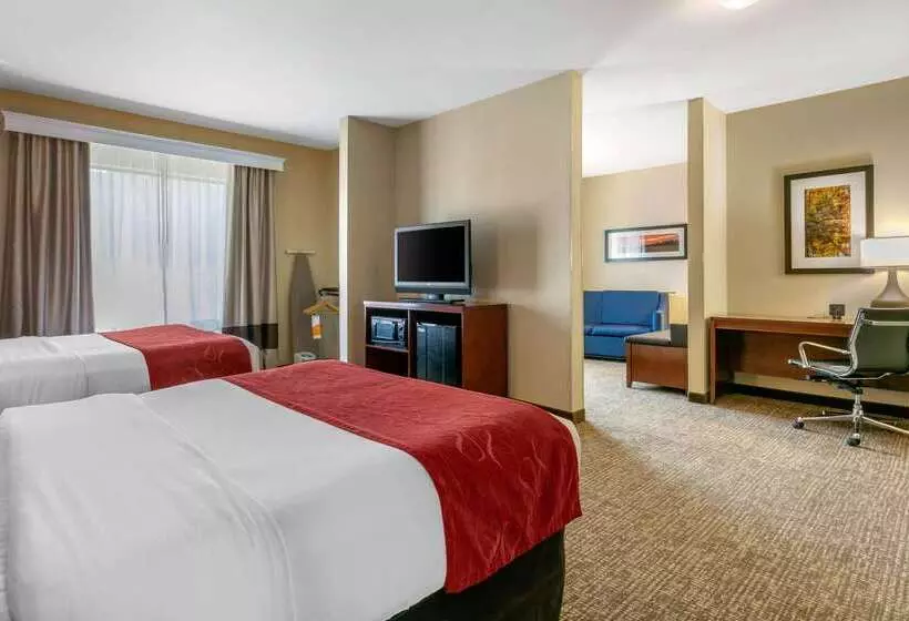 ホテル Comfort Suites