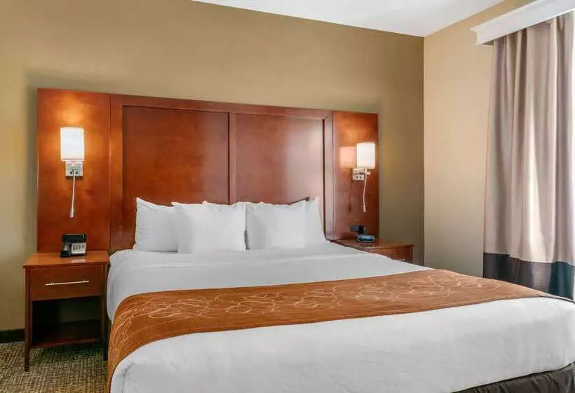 ホテル Comfort Suites