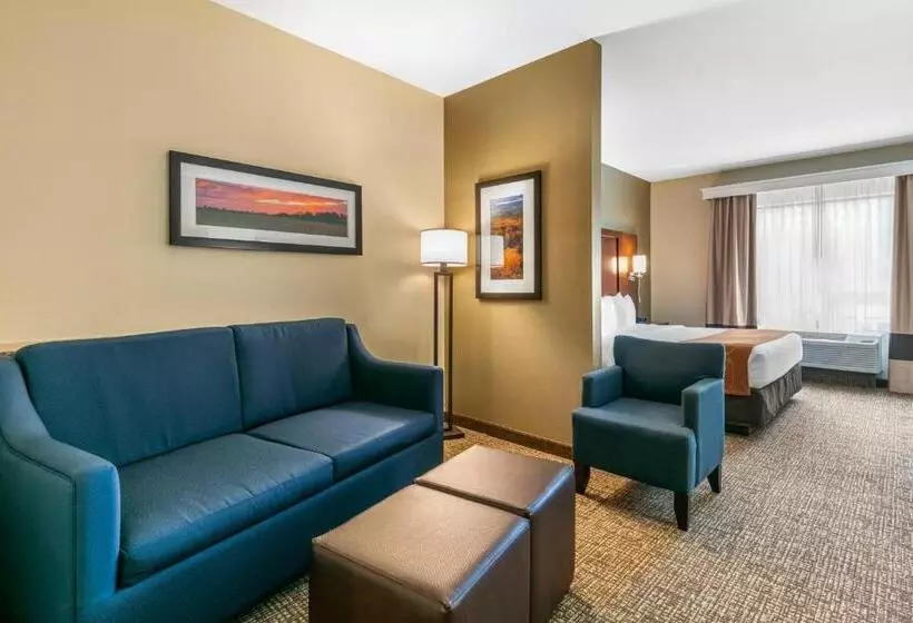 ホテル Comfort Suites