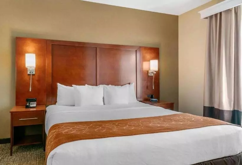 ホテル Comfort Suites