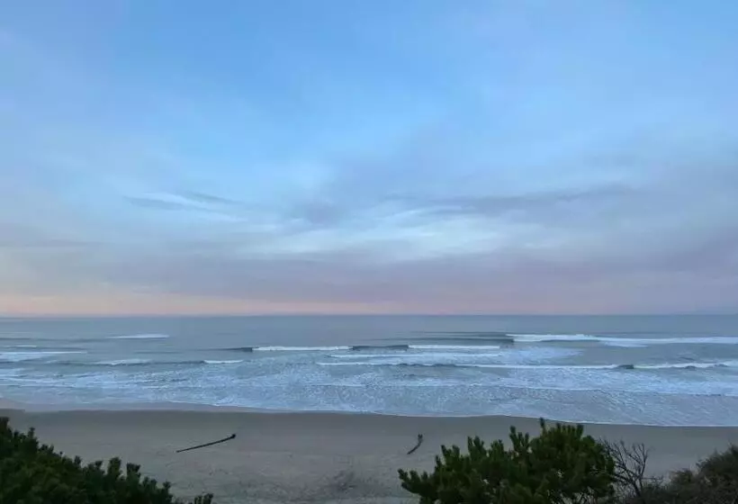 Мотель Seahorse Oceanfront Lodging