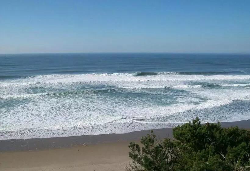 Мотель Seahorse Oceanfront Lodging