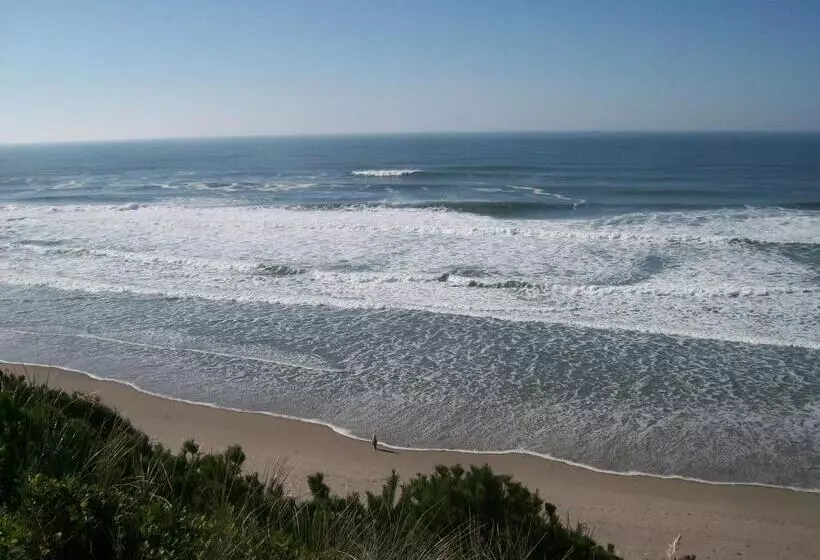 Мотель Seahorse Oceanfront Lodging