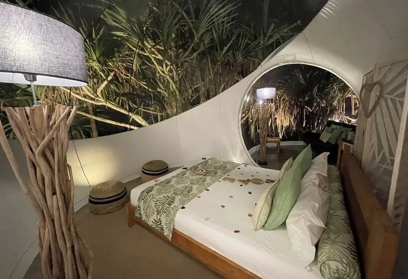 هتل Bubble Lodge