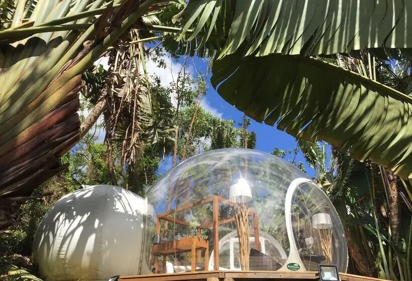 هتل Bubble Lodge