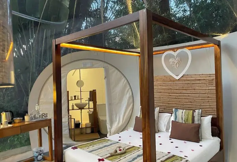 هتل Bubble Lodge