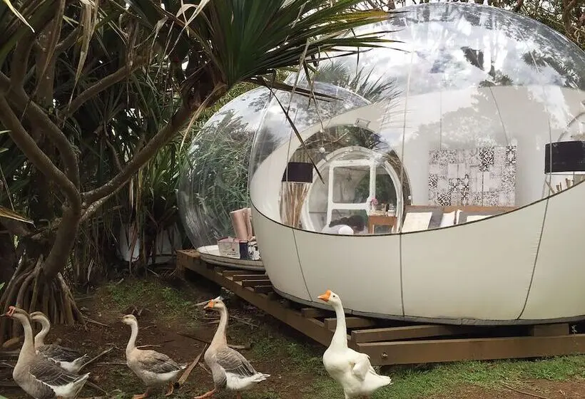 هتل Bubble Lodge