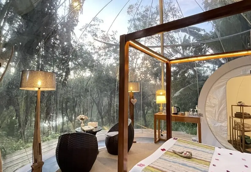 هتل Bubble Lodge