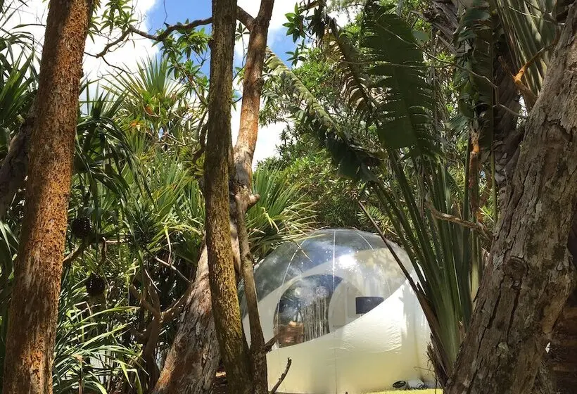 هتل Bubble Lodge