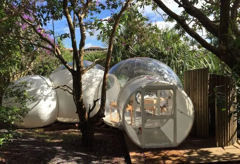 هتل Bubble Lodge