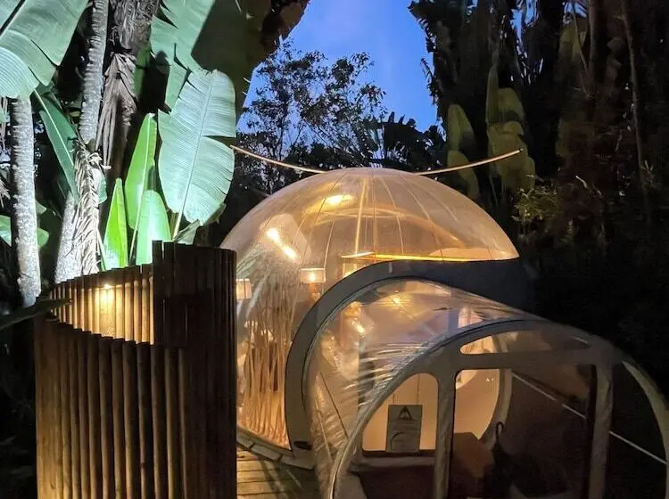 هتل Bubble Lodge