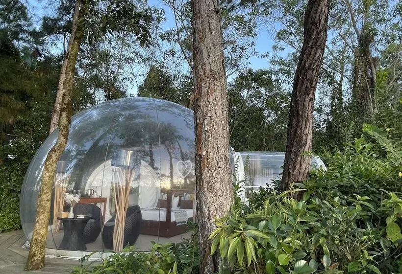 هتل Bubble Lodge