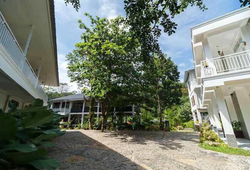 پانسیون Reddoorz Premium @ The Heritage Bukit Lawang