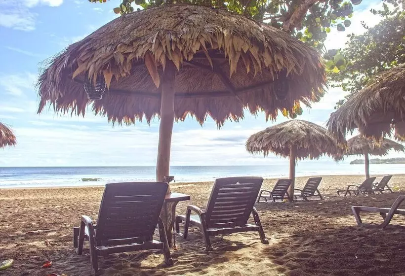 فندق Banana Azul Adults Only