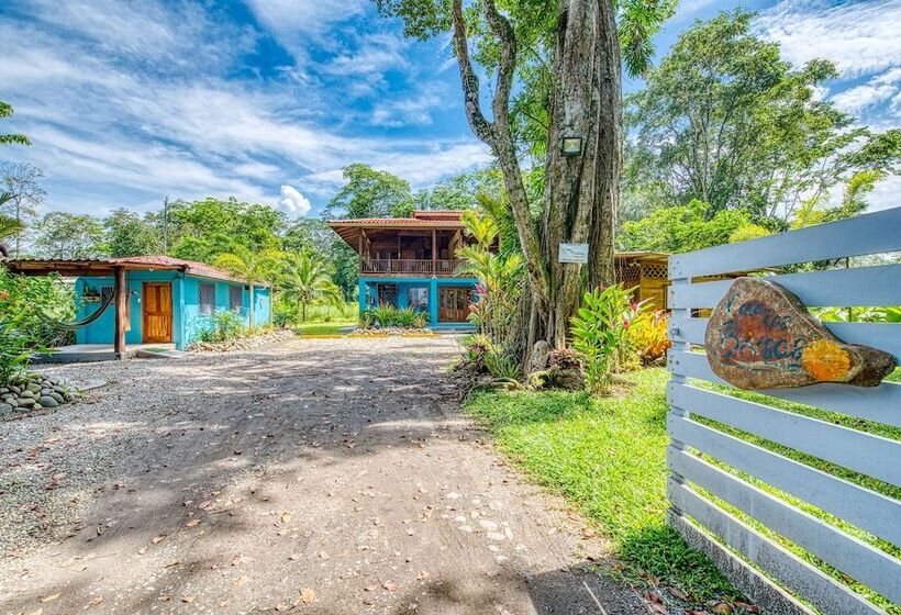 هتل Banana Azul Adults Only