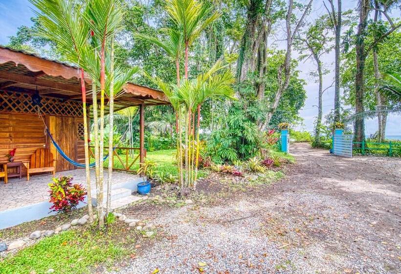 هتل Banana Azul Adults Only