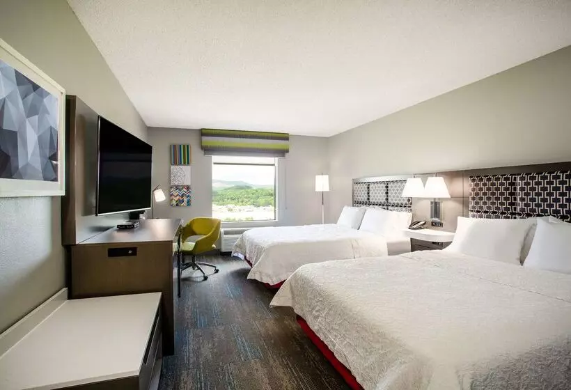 בית מלון כפרי Hampton Inn Elkins