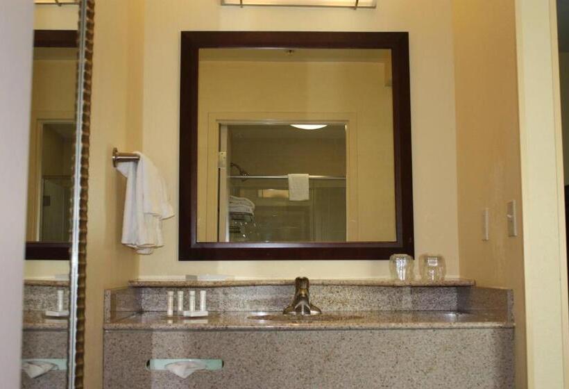 فندق Springhill Suites By Marriott Oklahoma City Airport