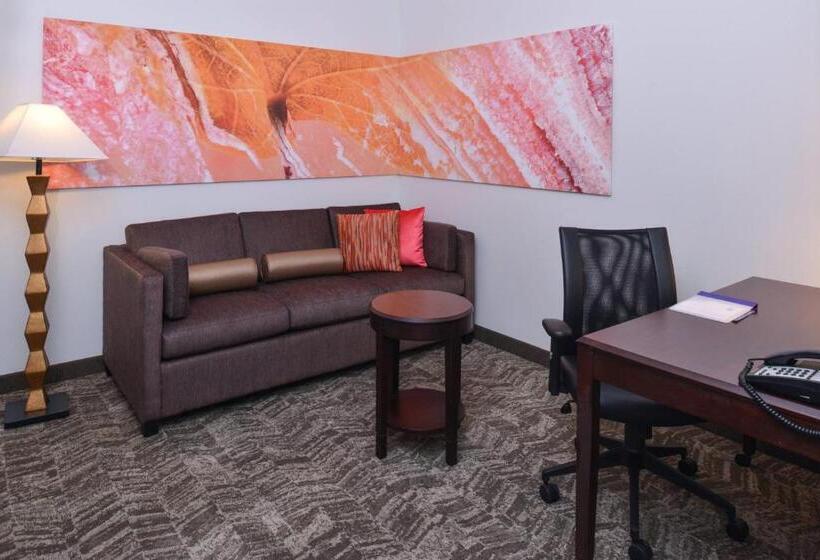 فندق Springhill Suites By Marriott Oklahoma City Airport