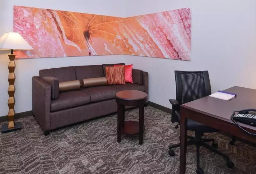 호텔 Springhill Suites By Marriott Oklahoma City Airport