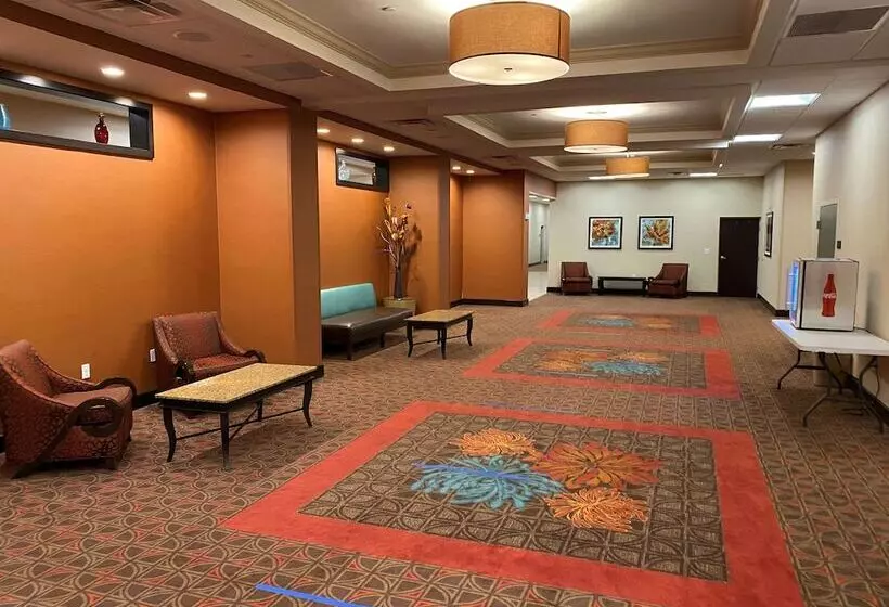 호텔 Hampton Inn & Suites Tampa Northwest/oldsmar
